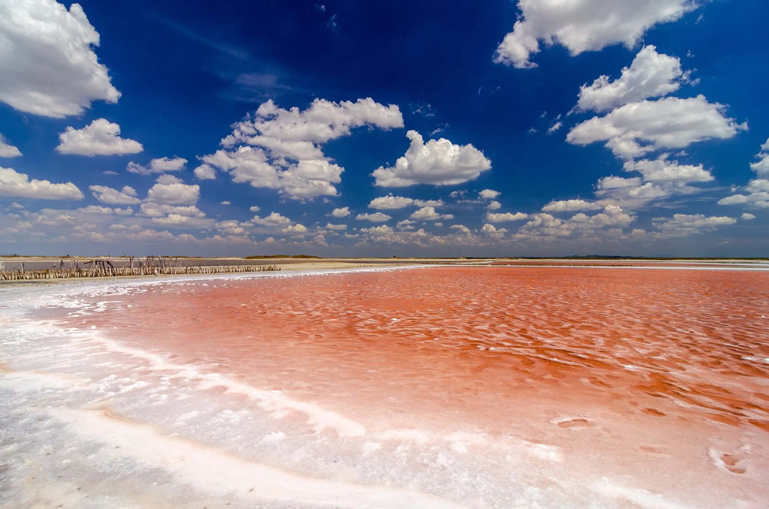 A (Brief) History of Salt: A stunning view of a salt lake with pink water and blue skies dotted with fluffy white clouds.