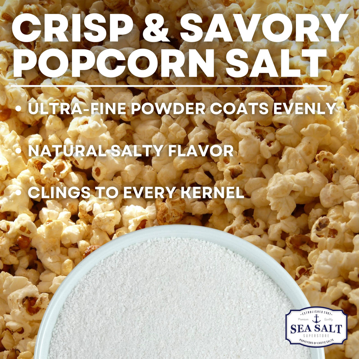 Popcorn Sea Salt - 16 oz Shaker, product detail image 2
