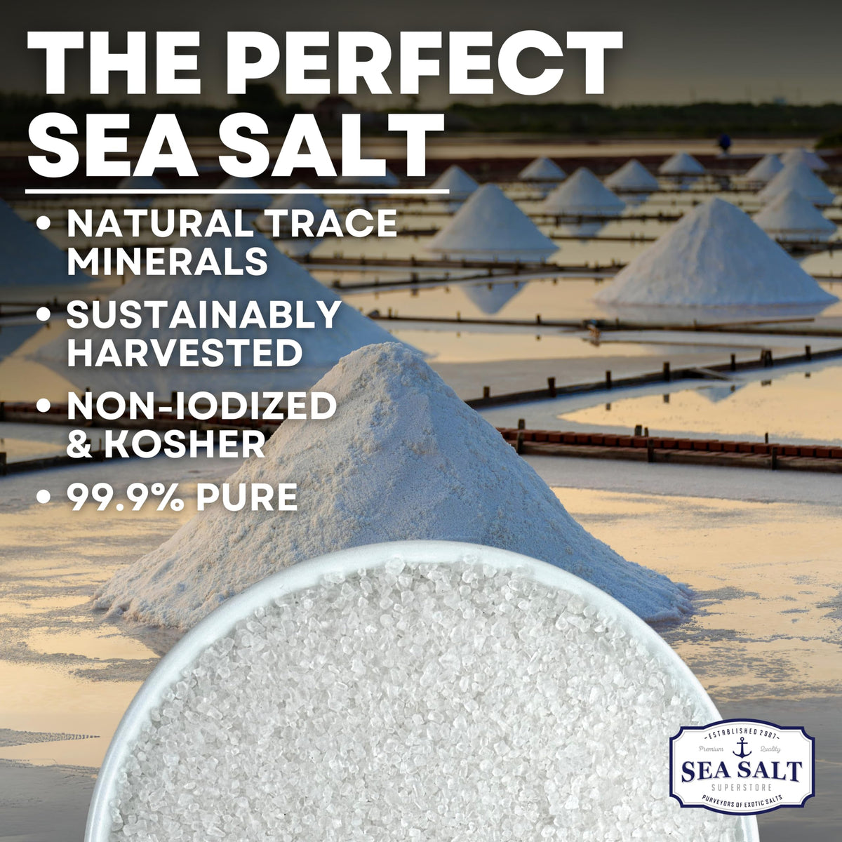 Coarse Grain Sea Salt - 16 oz Shaker, product detail image 2