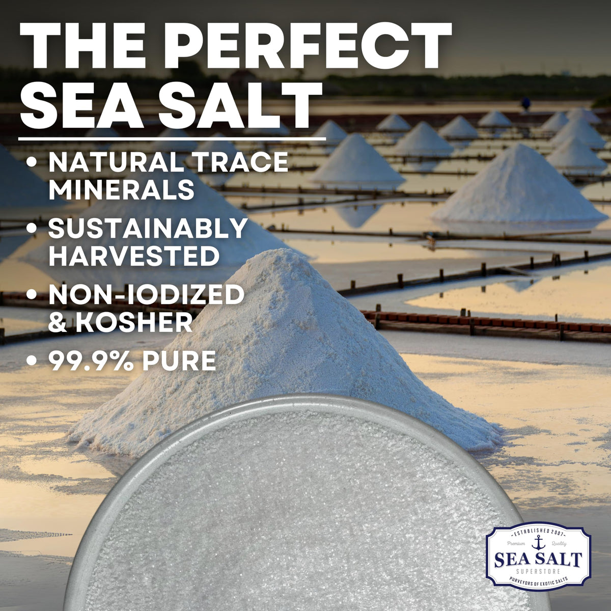 Fine Grain Sea Salt - 16 oz Shaker, product detail image 2